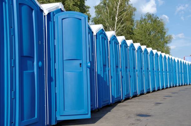 Best Temporary restroom rental  in Black River Falls, WI